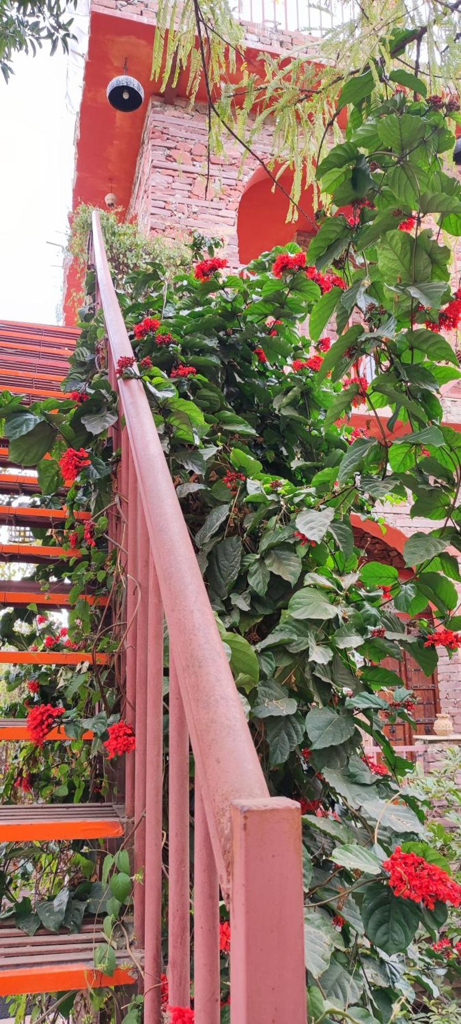The Secret Garden Acomodação com café da manhã Pushkar Exterior foto