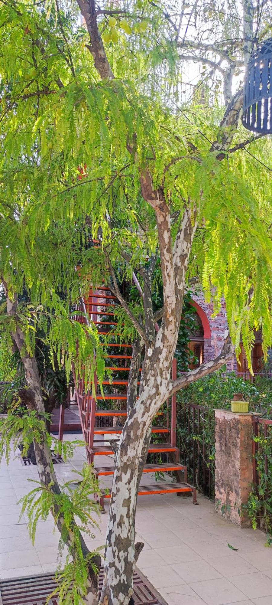 The Secret Garden Acomodação com café da manhã Pushkar Exterior foto