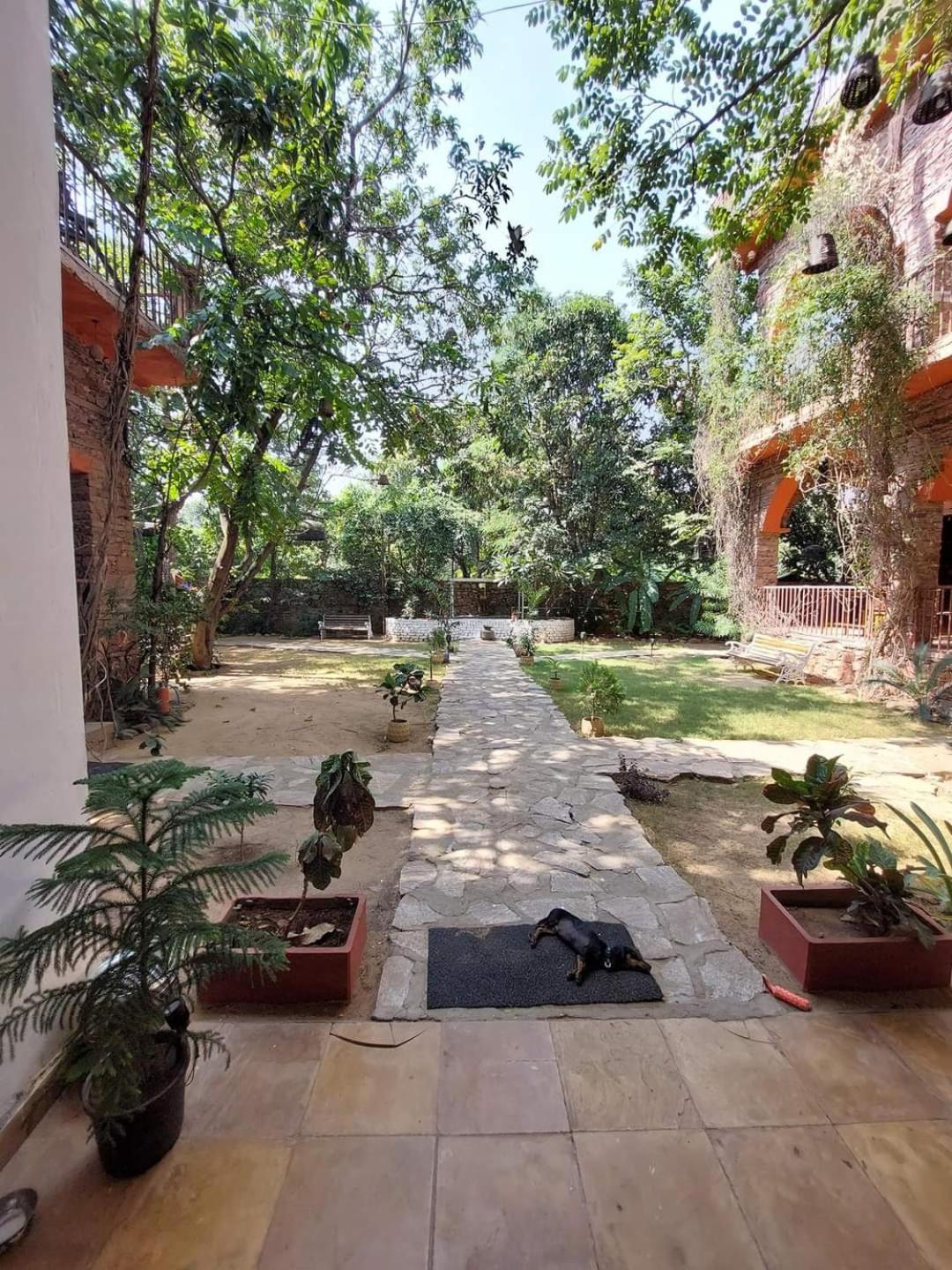 The Secret Garden Acomodação com café da manhã Pushkar Exterior foto
